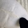 Panda Kung Fu Little Dreamer 2017 Seri Jakala Plush approx. 18 cm. Used Please see photos Image 10