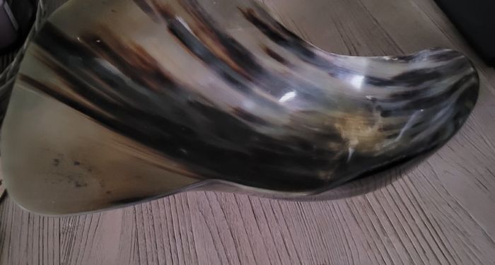 Design Bowl