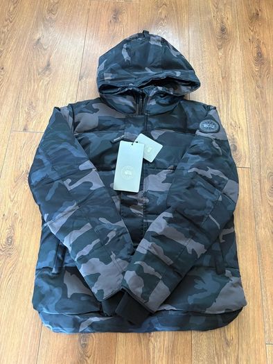 canada goose