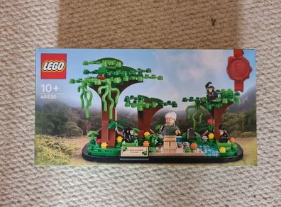 lego 40530 Jane Goodall tribute