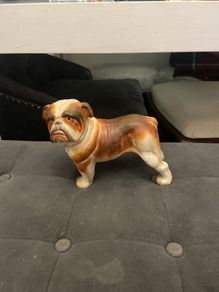 english buldog