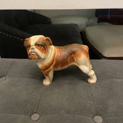 english buldog