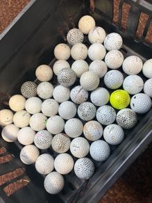 40 Titleist (Prov1) Golf Balls