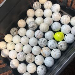 40 Titleist (Prov1) Golf Balls