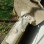 Bird bath Image 2