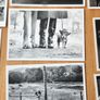 Postcards Black And White X 17 In Presentation Box.  All In Very Good Condition. Image 10