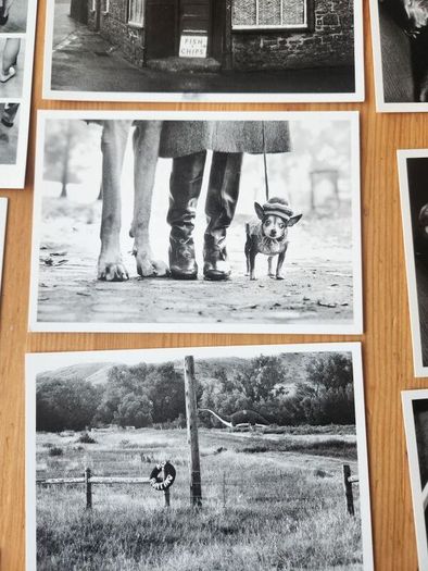 Postcards Black And White X 17 In Presentation Box.  All In Very Good Condition.