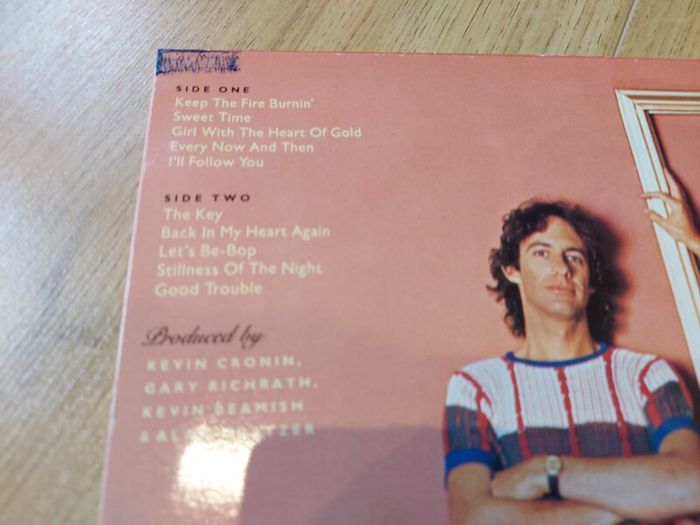 Batch Of Vinyl Records For Sale (1/15) - All Cleaned And In Excellent Condition