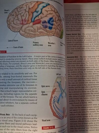 Hilgard's Introduction to Psychology / 1994