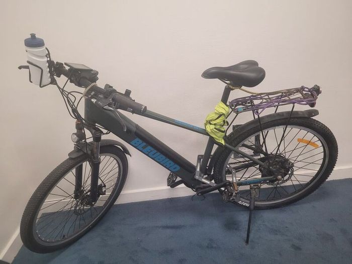 Electric bicycle Bluebird Summit M