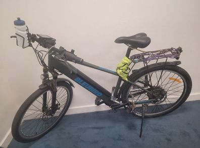 Electric bicycle Bluebird Summit M