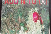 Add N to X - Add insult to Injury CD