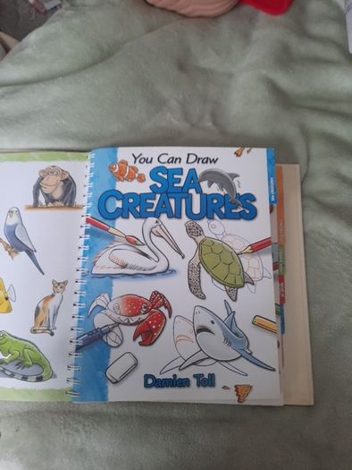 you can draw cartoons