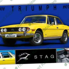 Triumph Stag classic car metal sign