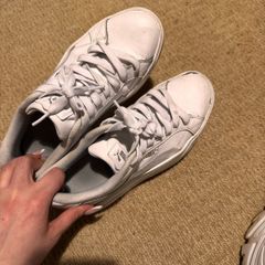 trainers