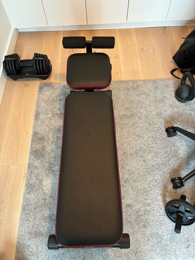 Exercise bench