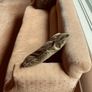 Antique couch 1800's Image 2