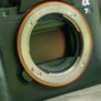 Beloved Sony A7SII (model ILCE-7SM2) Image 6