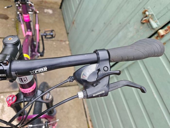 adult bike