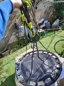 Nest Swing