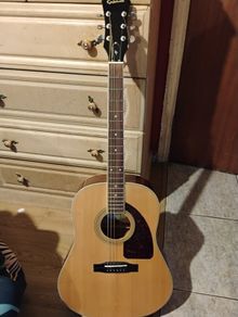 acoustic guitar
