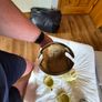 Antique Teapot Image 10