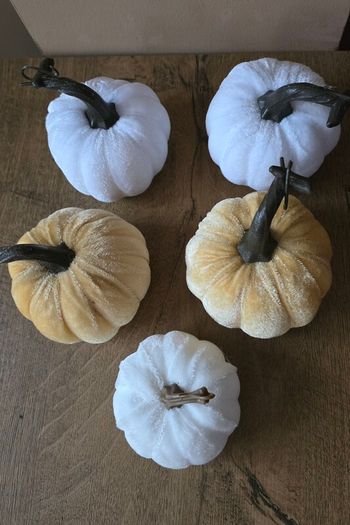 A set of 5 Halloween pumpkins mixed colors