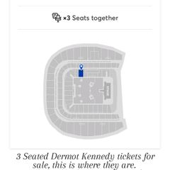 Dermot Kennedy Aviva Stadium Dublin