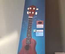 Ukulele set