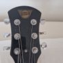 Pignose PGG-200,  Brown Sunburst, Excellent Condition, Original Gig Bag Image 2