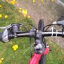 bike Image 6