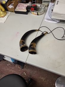 Buffalo horns