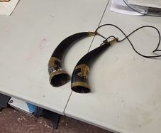 Buffalo horns