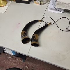 Buffalo horns