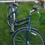 Ladies Ridgeback Motion Adult Bike - Blue Image 2