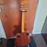 Epiphone Wildkat Image 6