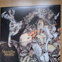 Kate Bush Vinyl