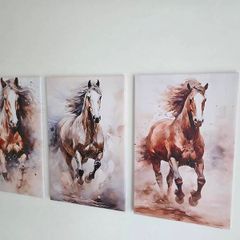 3 canvas framed 35x55cm each size