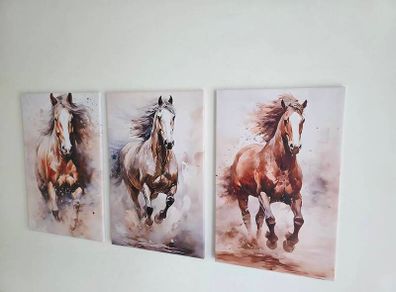 3 canvas framed 35x55cm each size