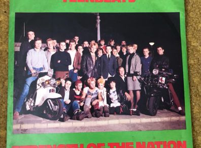 The Teenbeats - Strength Of The Nation (1979) 7"