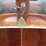 Washburn Image 3