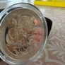 10euro Celtic Culture Coin Image 2