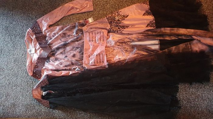 Decendants Costume