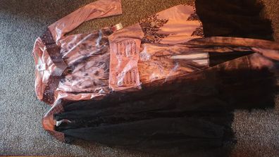 Decendants Costume