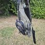 fishing vest team dragon Image 3