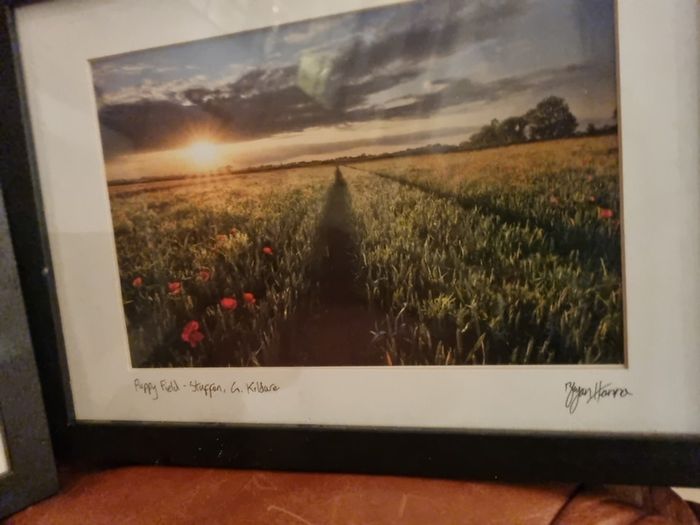 Framed pictures (2) Bailey Lighthouse /Poppy Field