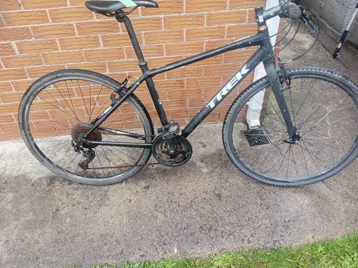 adults bike