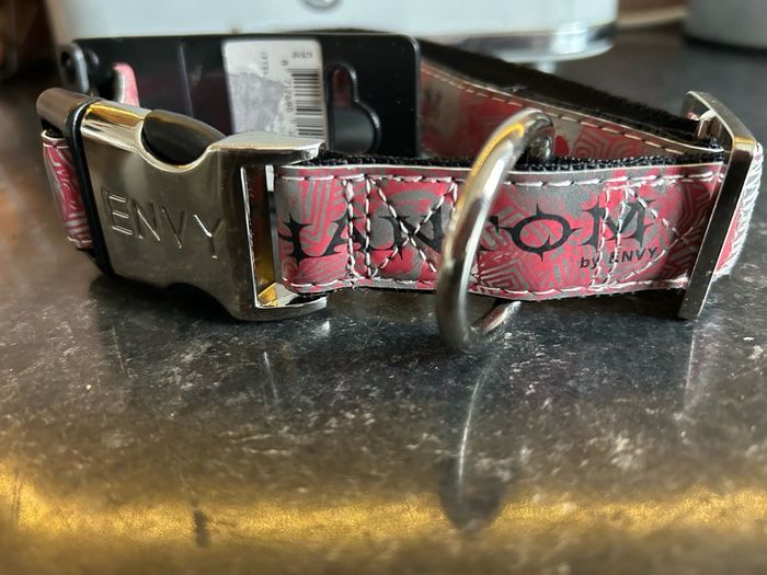 Envy Phantom Dog collar