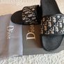 DIOR Dway Slides Image 2
