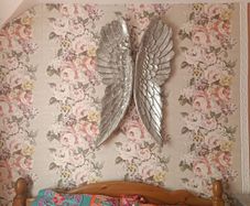 angel wings